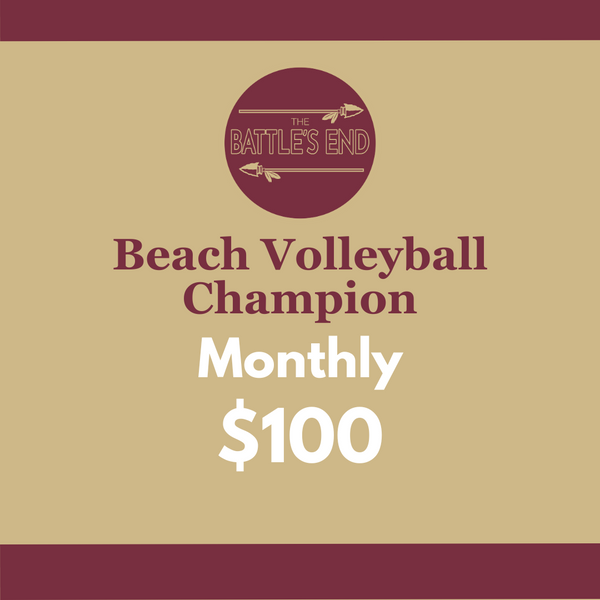 Beach Volleyball Champion – The Battle's End